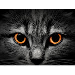 Yeux de chat-Imagesdartistes